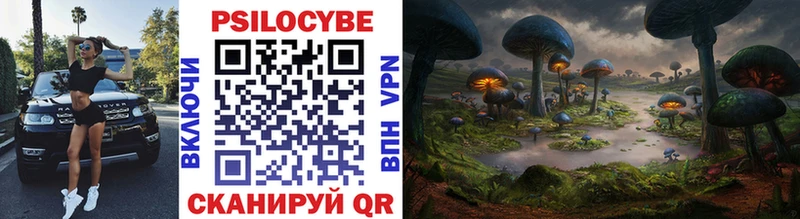 гидра зеркало  Высоцк  Галлюциногенные грибы Psilocybe  купить  