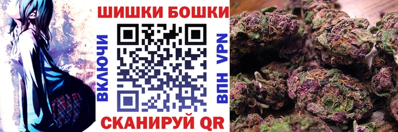 Канабис конопля  Высоцк 